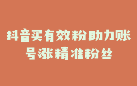 抖音买有效粉助力账号涨精准粉丝