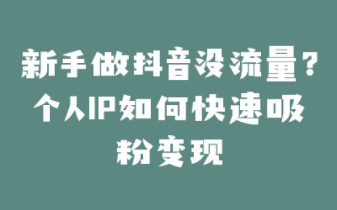 新手做抖音没流量?个人IP如何快速吸粉变现