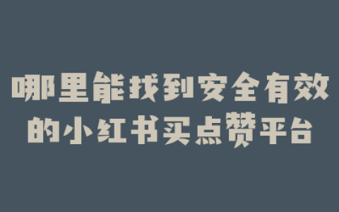 哪里能找到安全有效的小红书买点赞平台