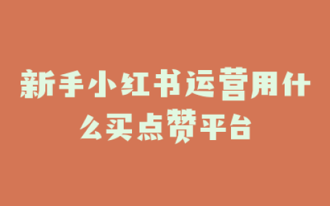 新手小红书运营用什么买点赞平台