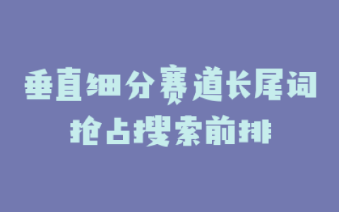 垂直细分赛道长尾词抢占搜索前排