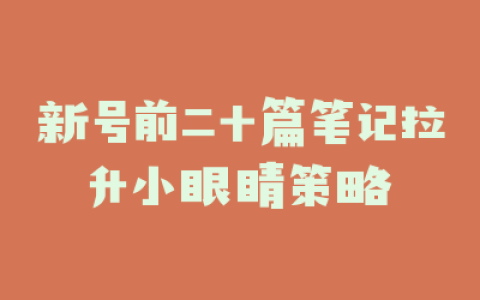 新号前二十篇笔记拉升小眼睛策略