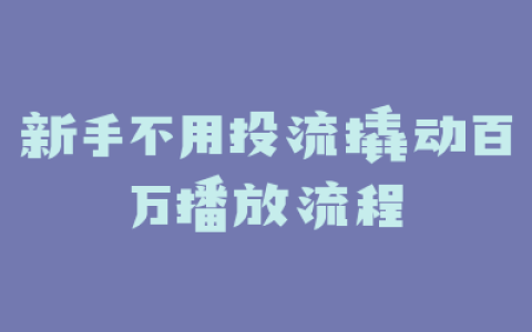 新手不用投流撬动百万播放流程