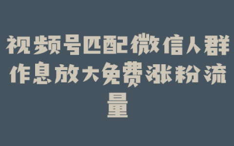 视频号匹配微信人群作息放大免费涨粉流量