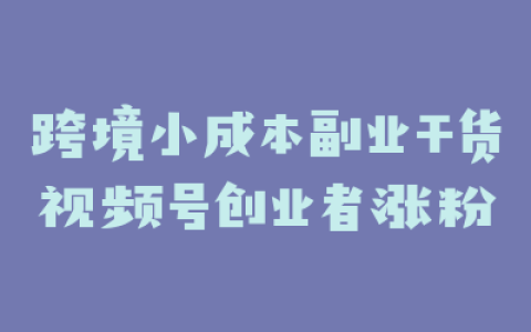 跨境小成本副业干货视频号创业者涨粉