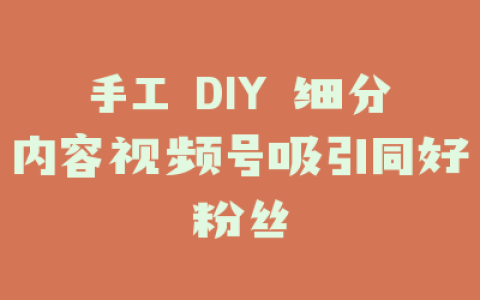 手工 DIY 细分内容视频号吸引同好粉丝