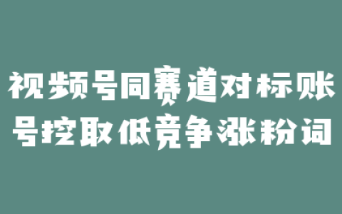 视频号同赛道对标账号挖取低竞争涨粉词