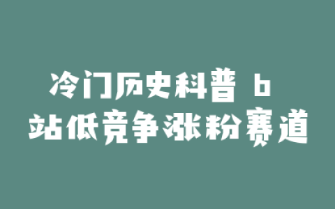 冷门历史科普 b 站低竞争涨粉赛道