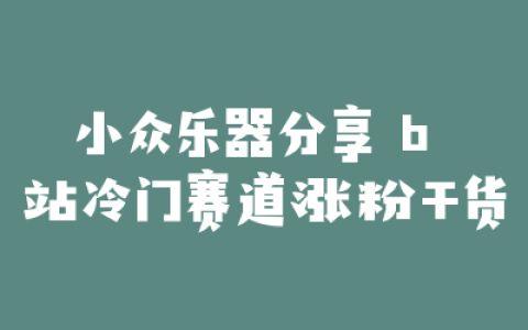 小众乐器分享 b 站冷门赛道涨粉干货