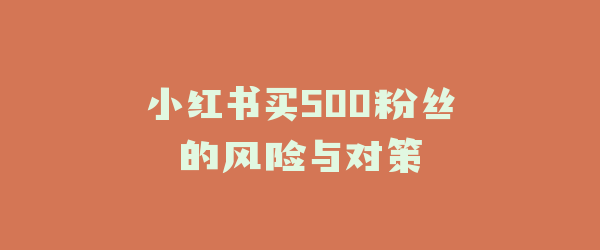 小红书买500粉丝的风险与对策